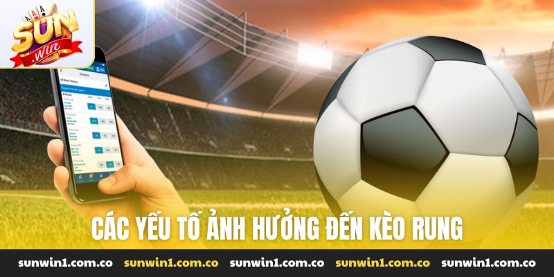 Các yếu tố ảnh hưởng đến kèo rung